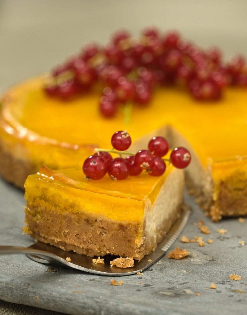 Cheesecake with jelly and red currants, sliced