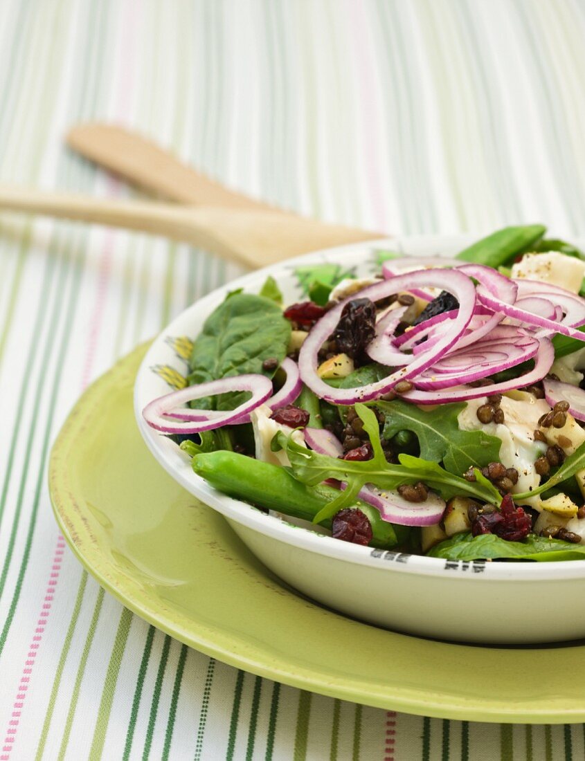 Linsensalat mit Zwiebeln, Apfel und Rucola