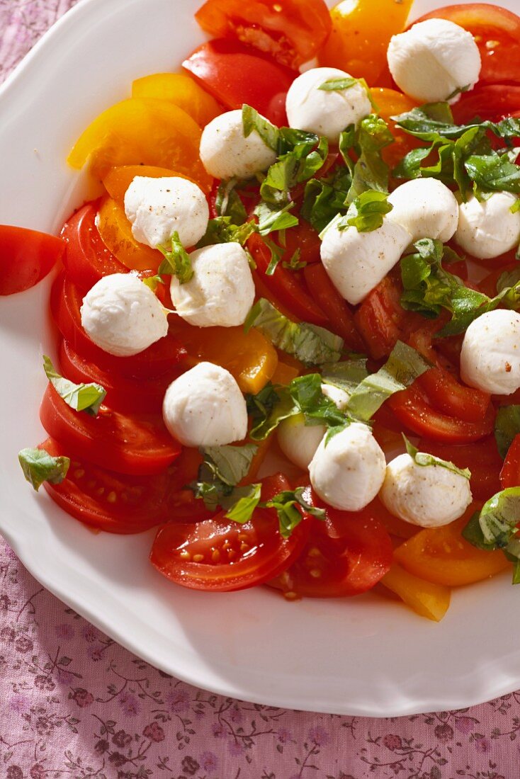 Tomatensalat mit Mozzarella und Basilikum