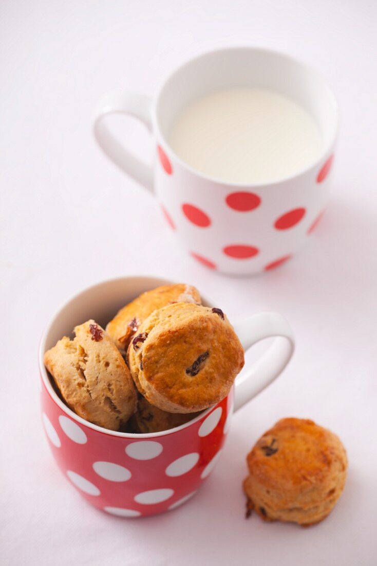 Safran-Scones mit Rosinen und eine Tasse Milch