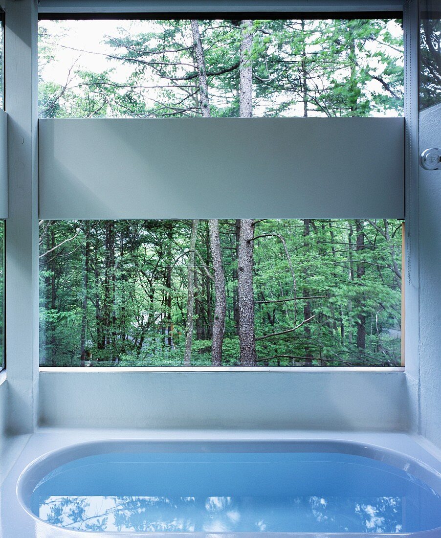 Bathroom with view of woods