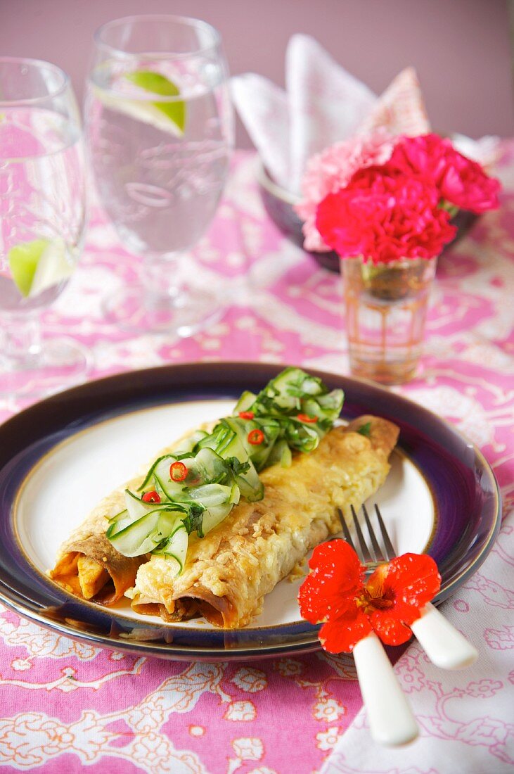 Chicken enchiladas with cucumber (Mexico)