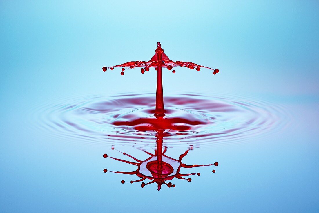 An artistic shot of red water drops