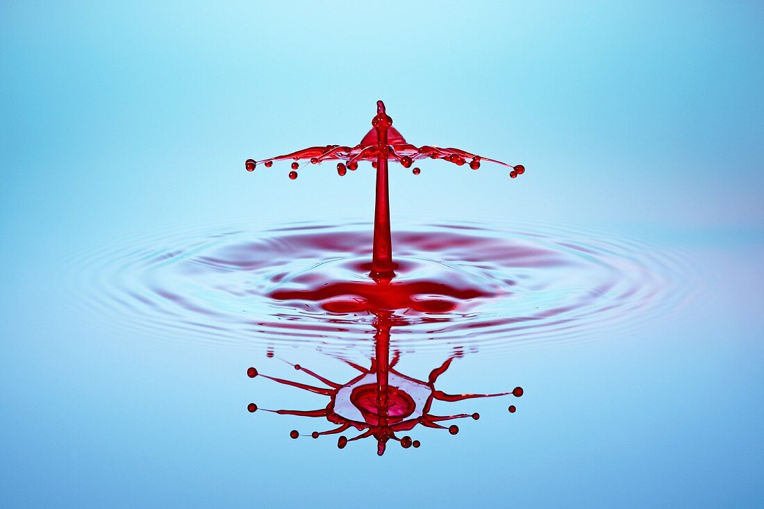 Künstlerische Aufnahme von roten Wassertropfen