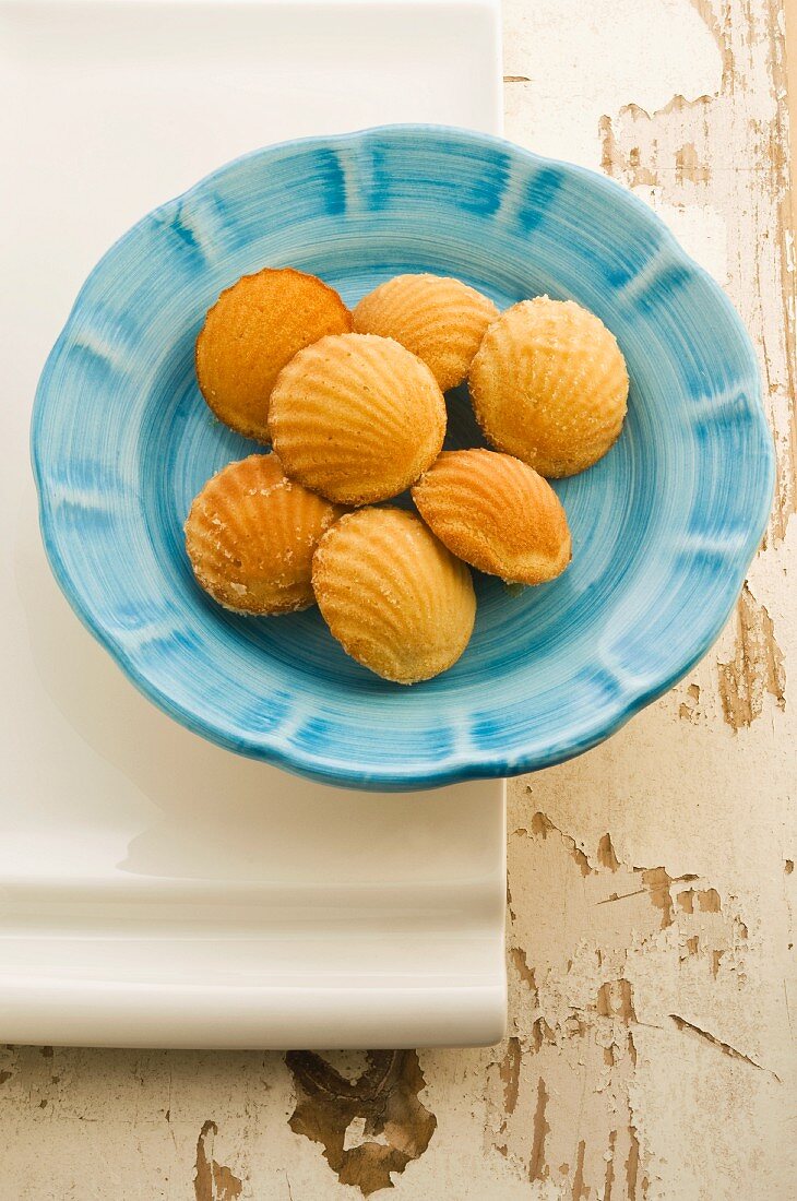Honey and ginger madeleines on a blue plate