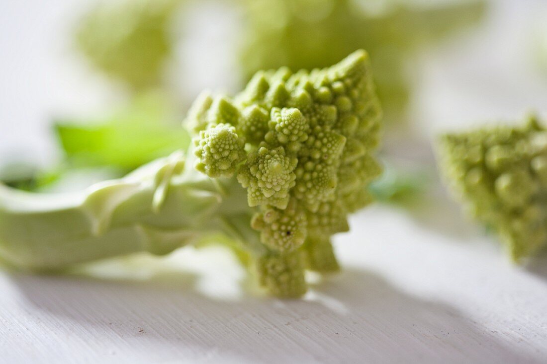 Romanesco broccoli (close-up)