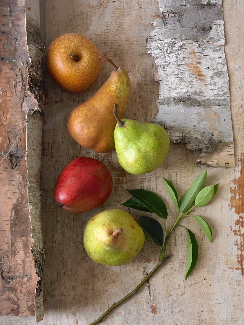 Variety of Pears on Rustic Wood; From Above
