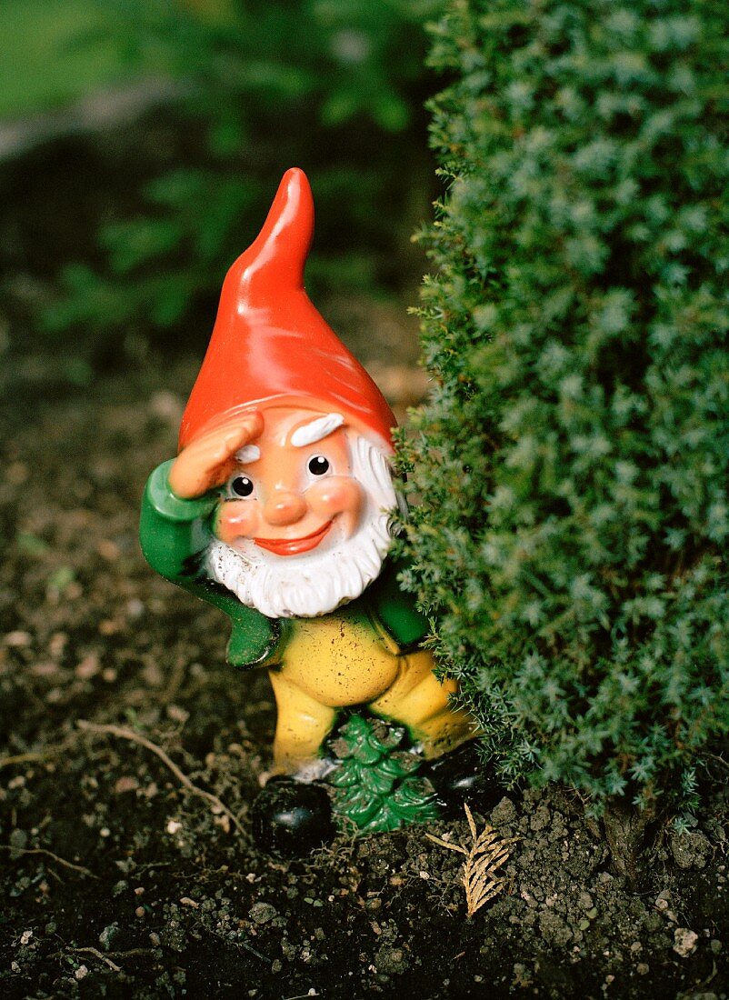 Garden gnome