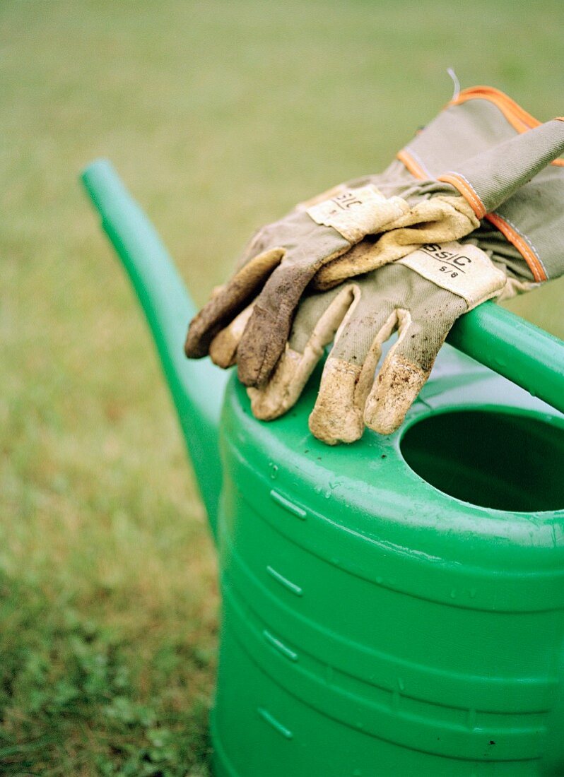 Watering can and gardening gloves