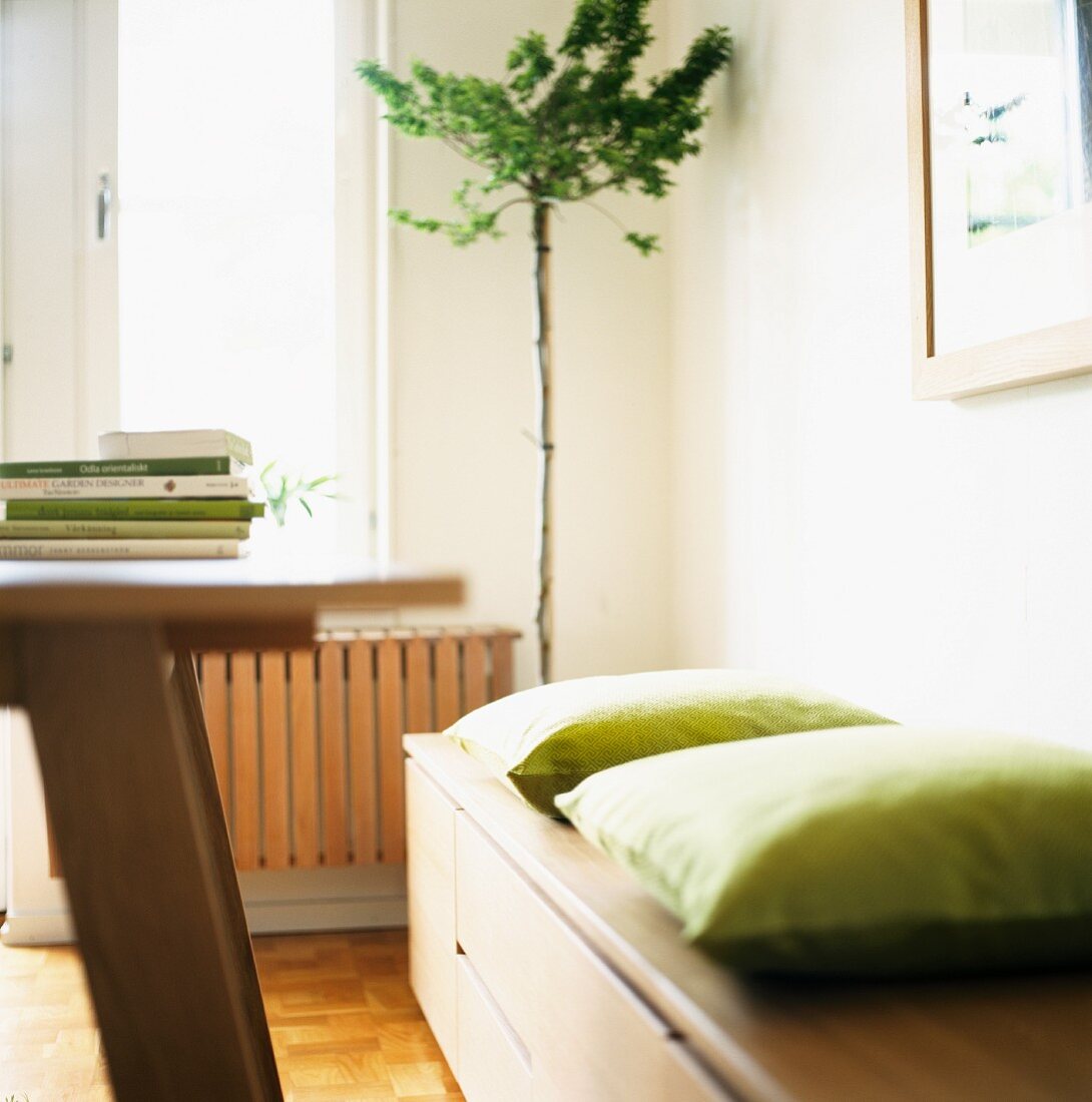 Bench with cushions and wooden table in living room