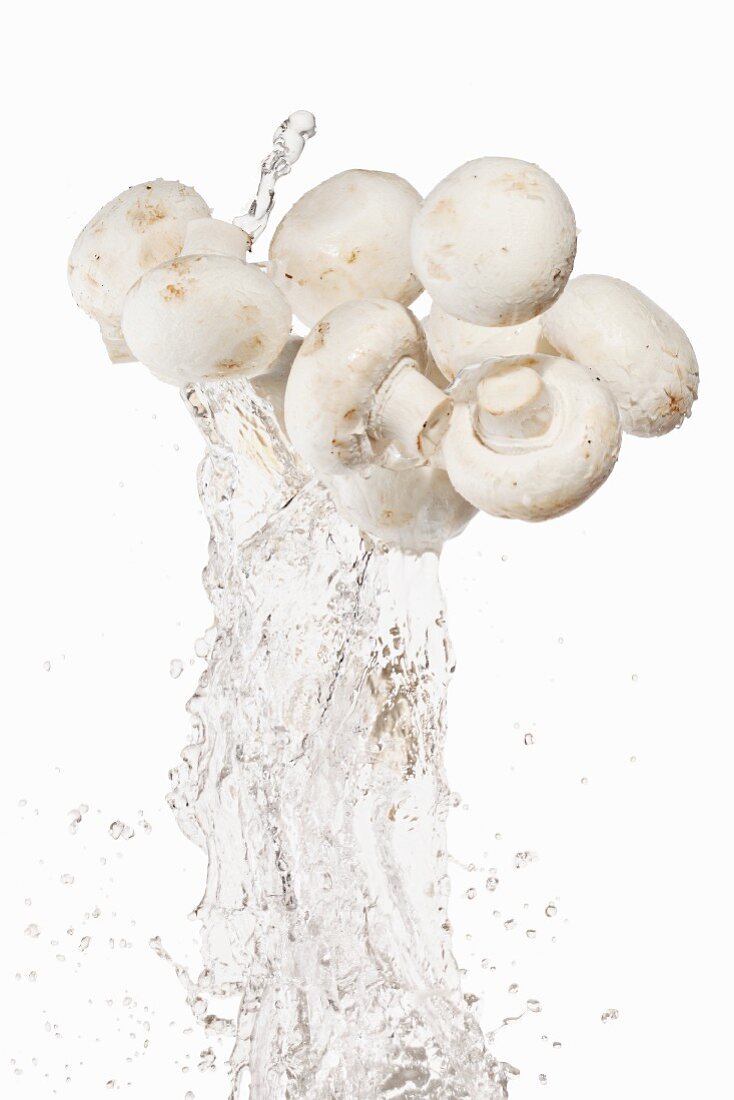 Mushrooms and a splash of water