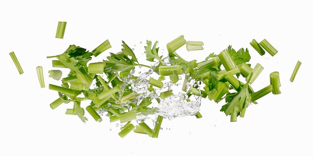 Celery with a water splash