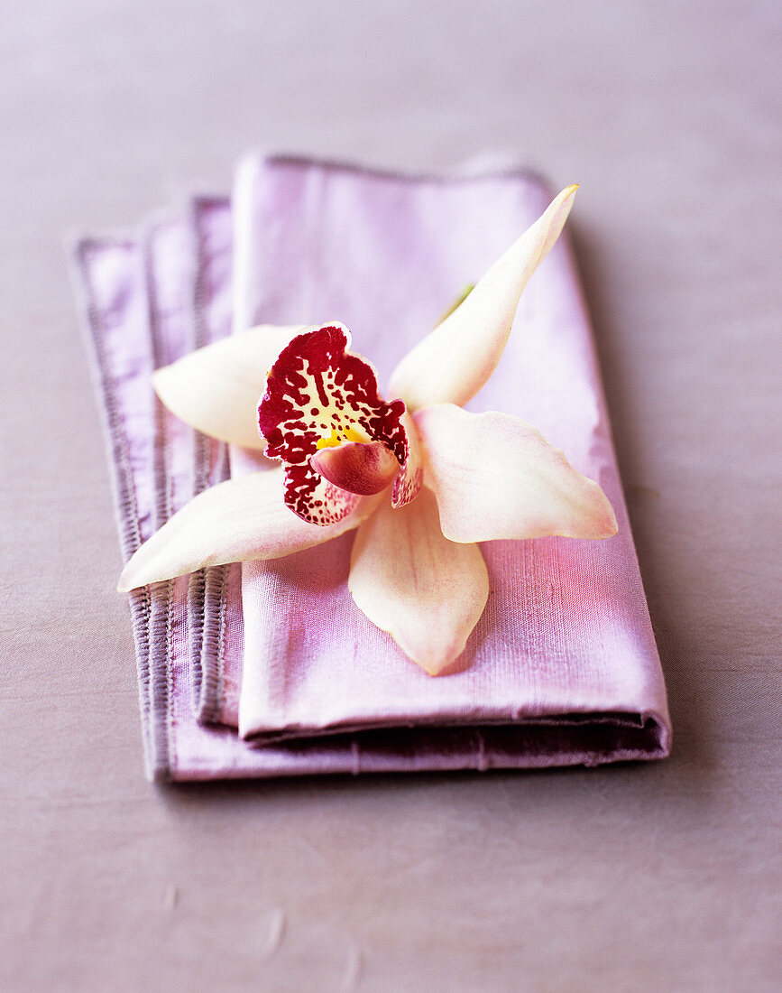An orchid flower on a napkin