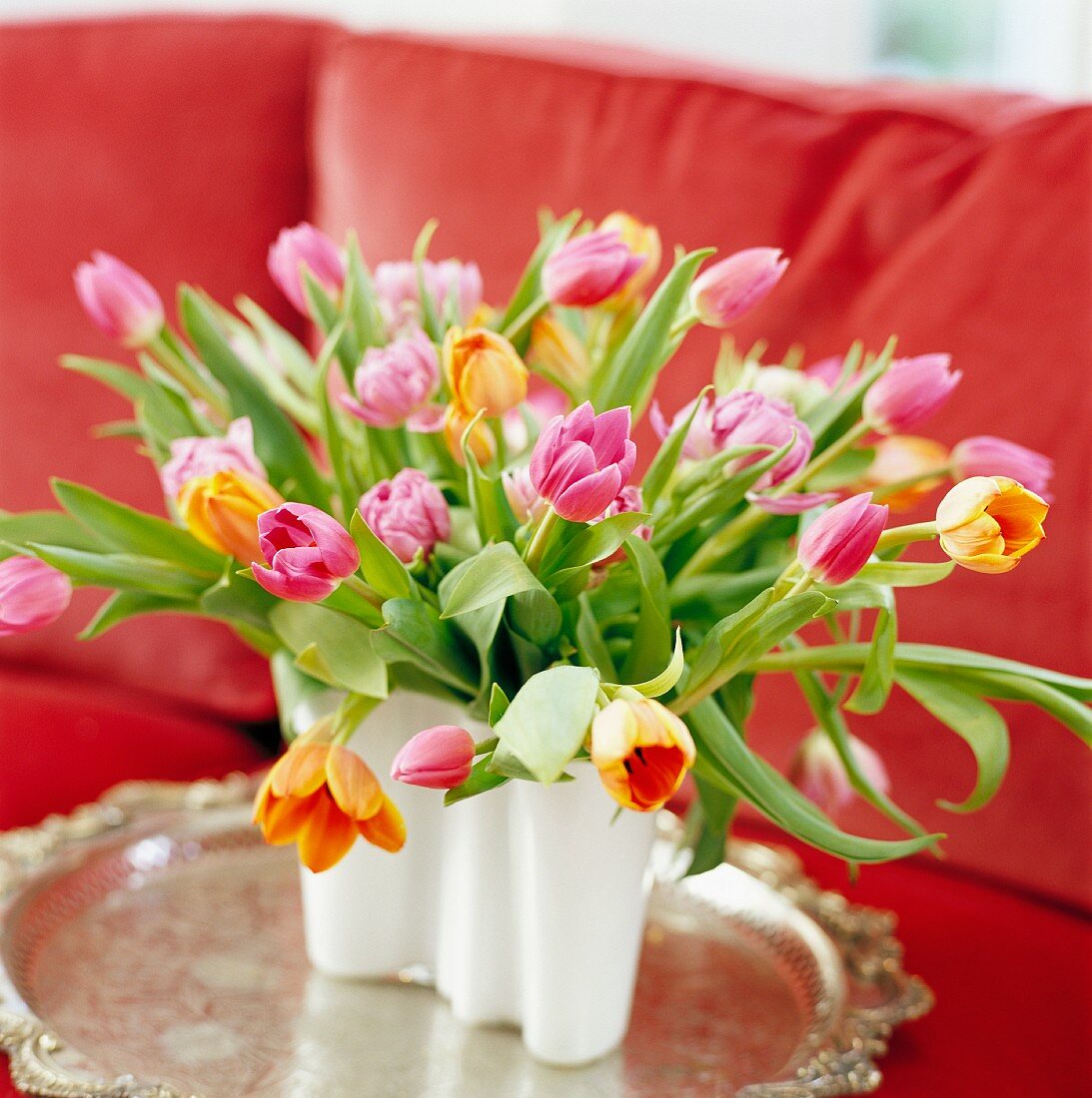 Bunte Tulpen in einer Vase