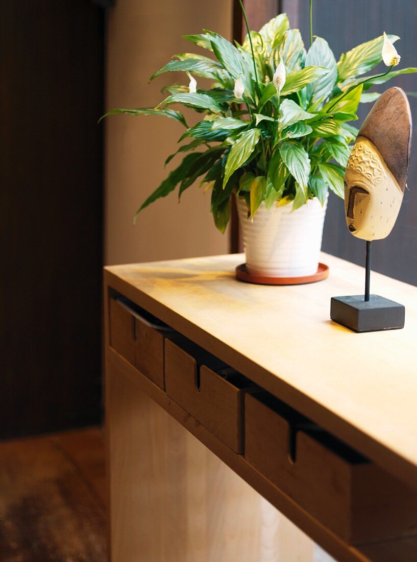 Peace lily and African mask in front of window