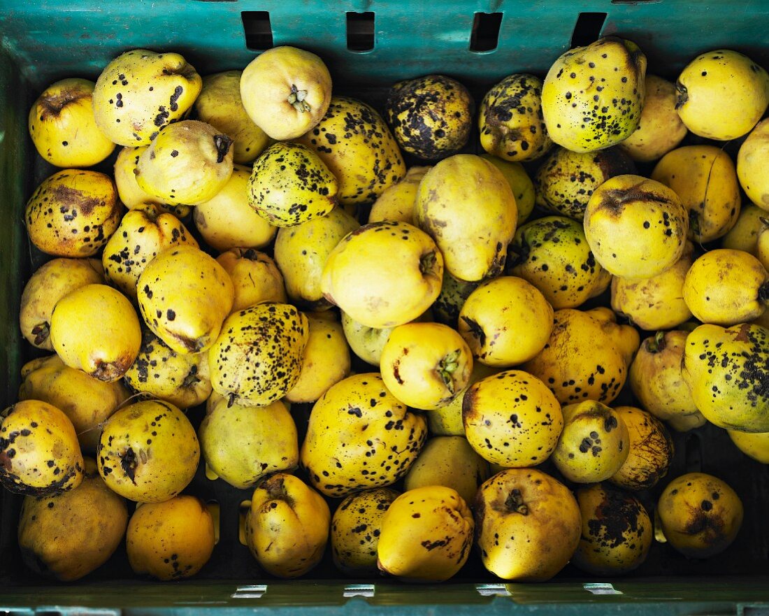 Quinces in a crate