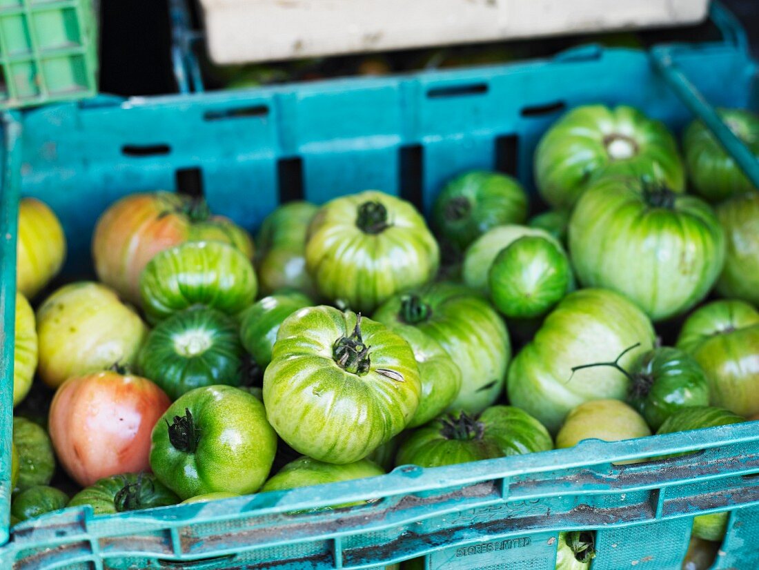 Grüne Tomaten in einer Steige