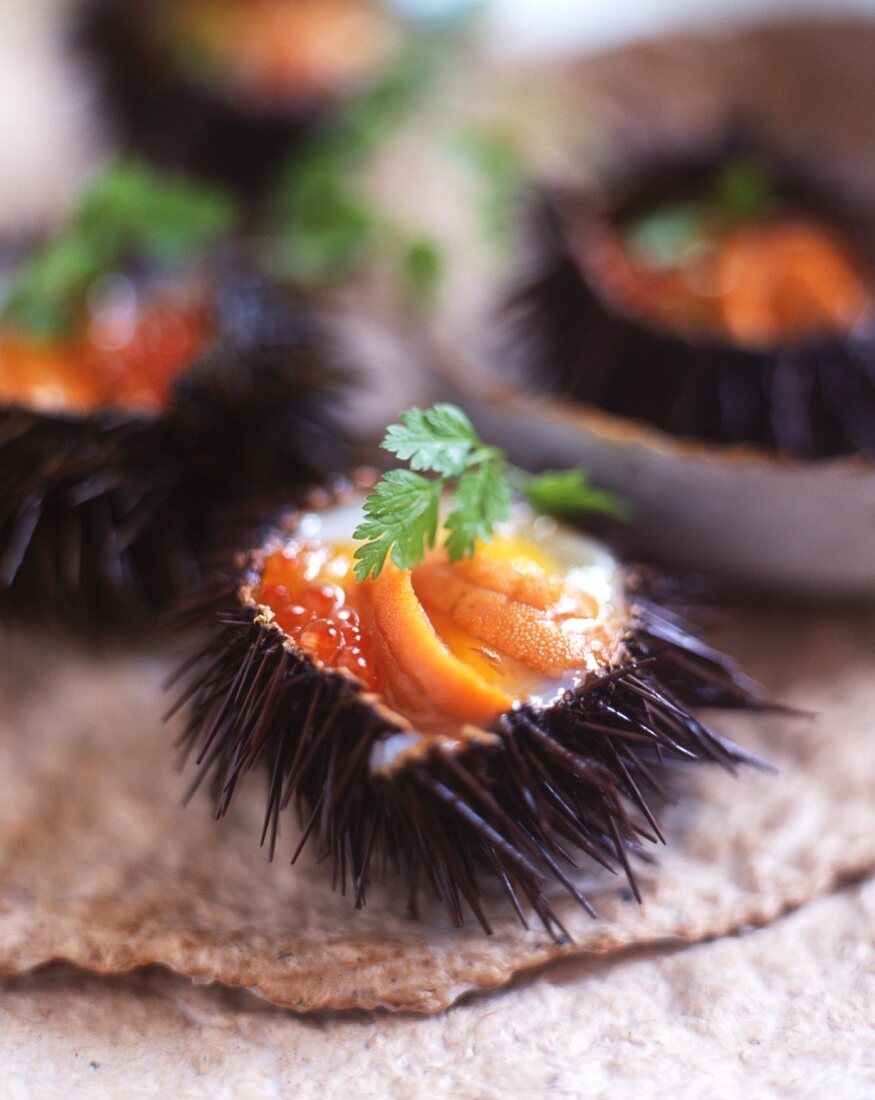 Sea urchins with salmon caviar