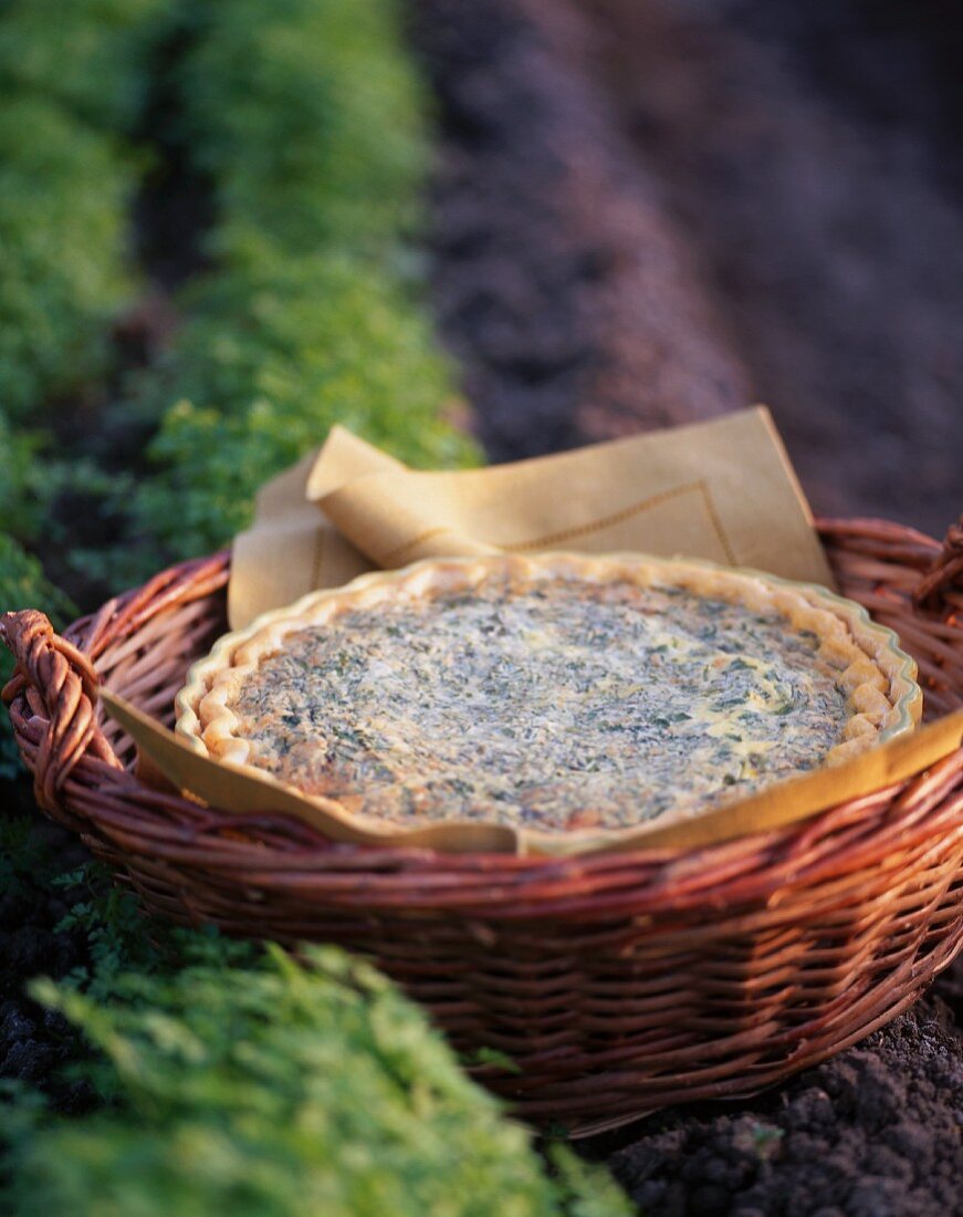 Herb quiche in basket