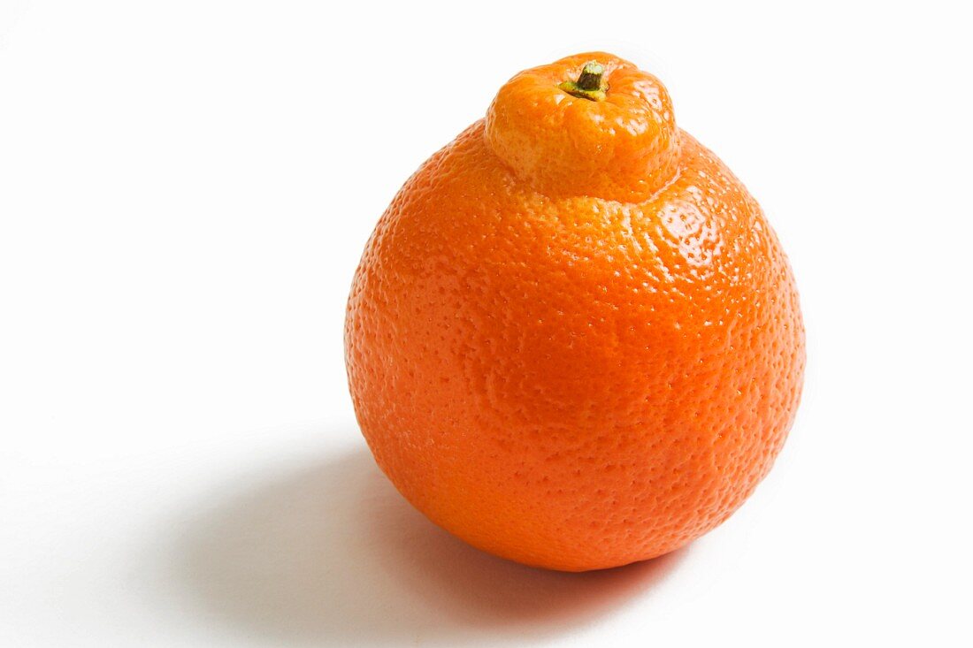 One Whole Navel Orange on a White Background