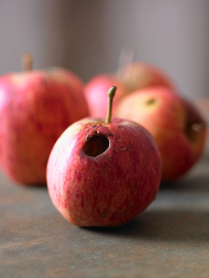 Apple with a Hole; Apples