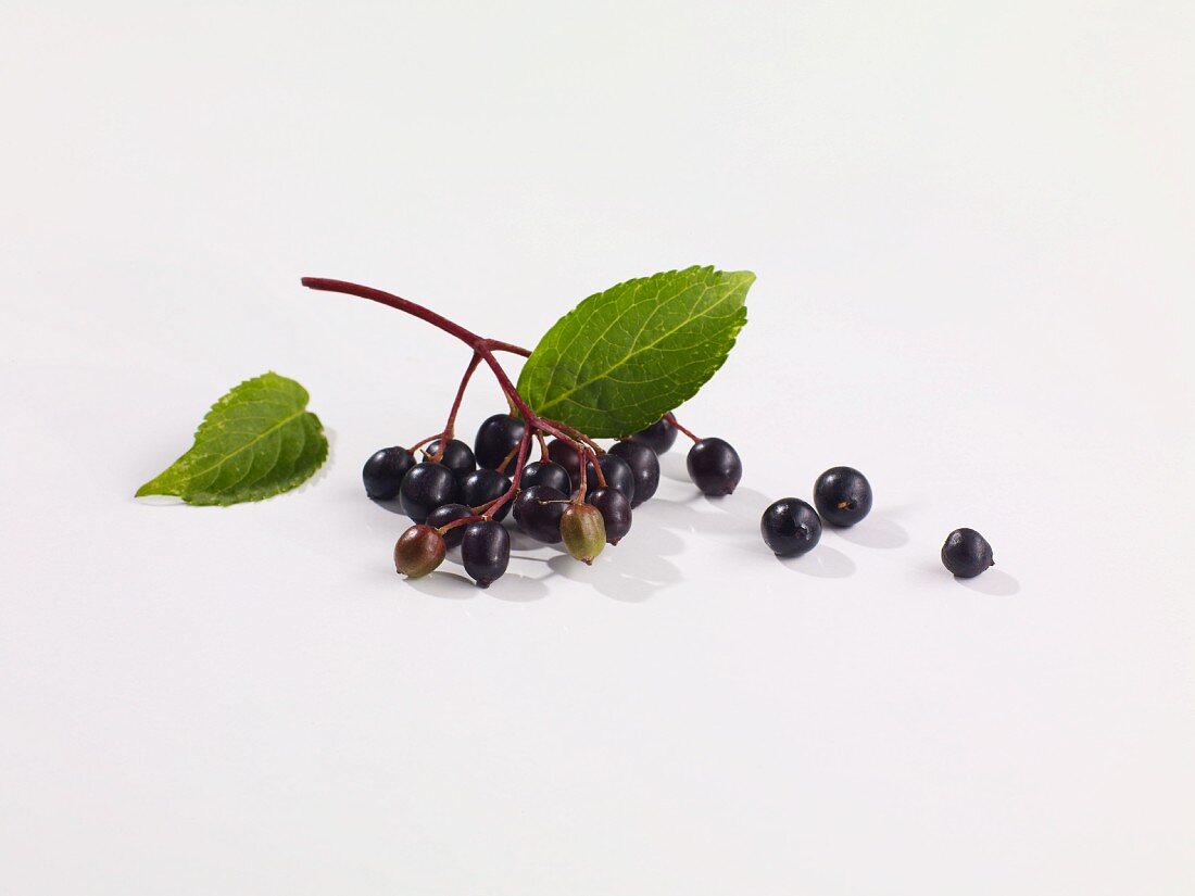 Elderberries on a white surface