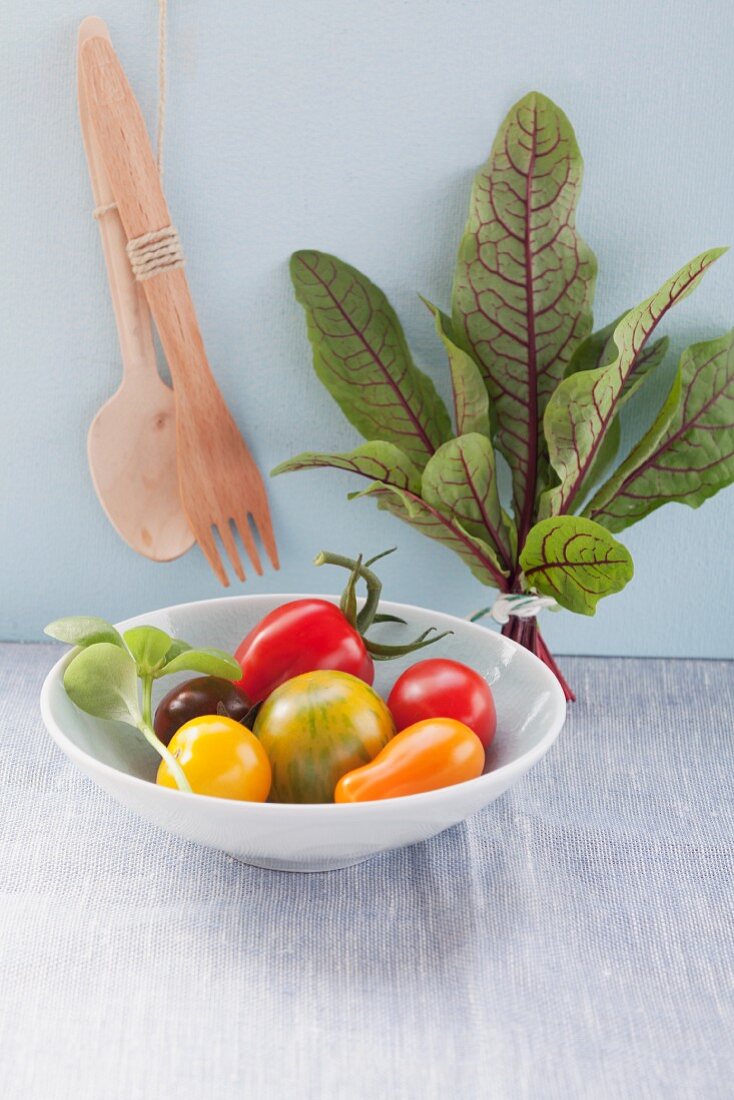 Verschiedene Tomaten in einer Schale und ein Bund rotstieliger Mangold