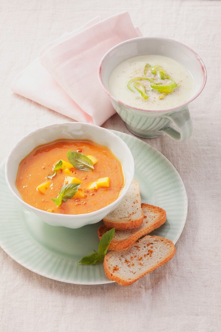 Lauchcremesuppe und Tomaten-Mango-Suppe