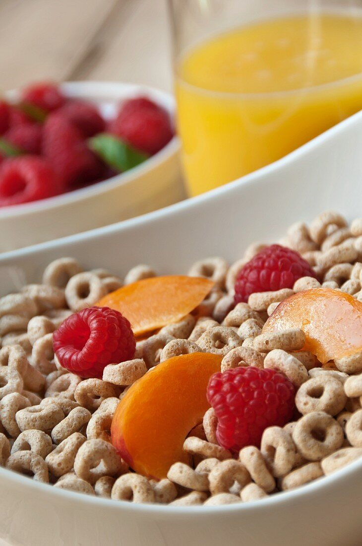 Bowl of Oat Cereal with Fresh Raspberries and Apricots