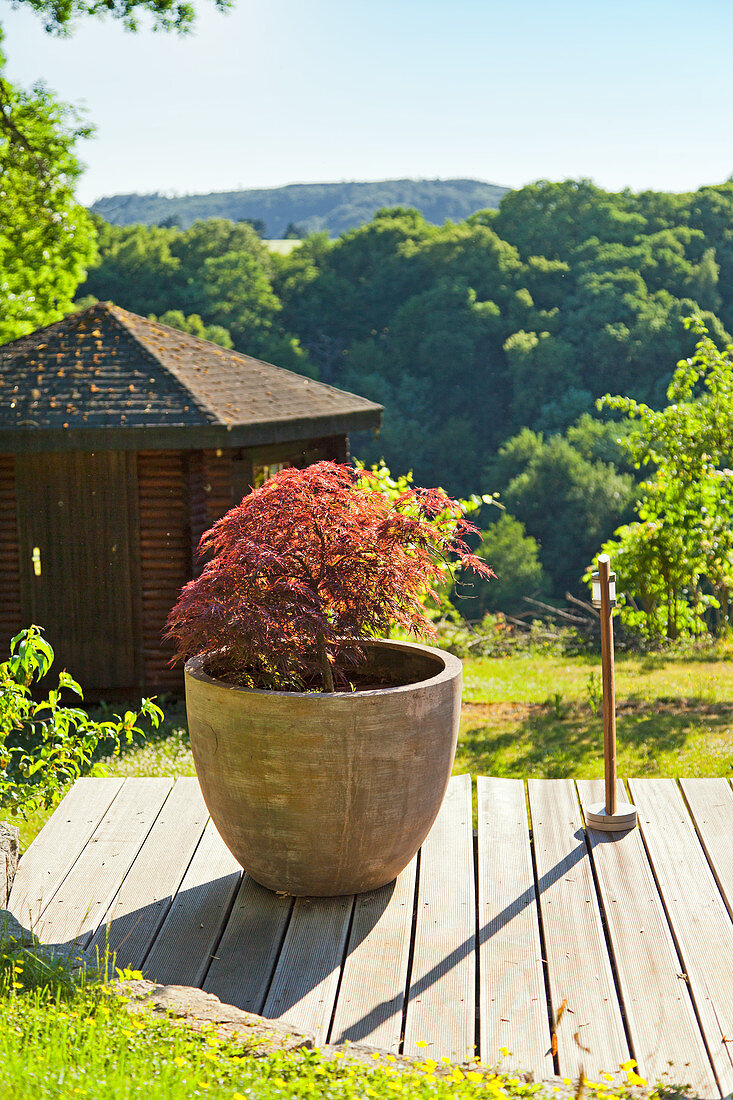 Steintopf mit Bonsaibaum auf Holzdeck und Landschaftsblick im Hintergrund