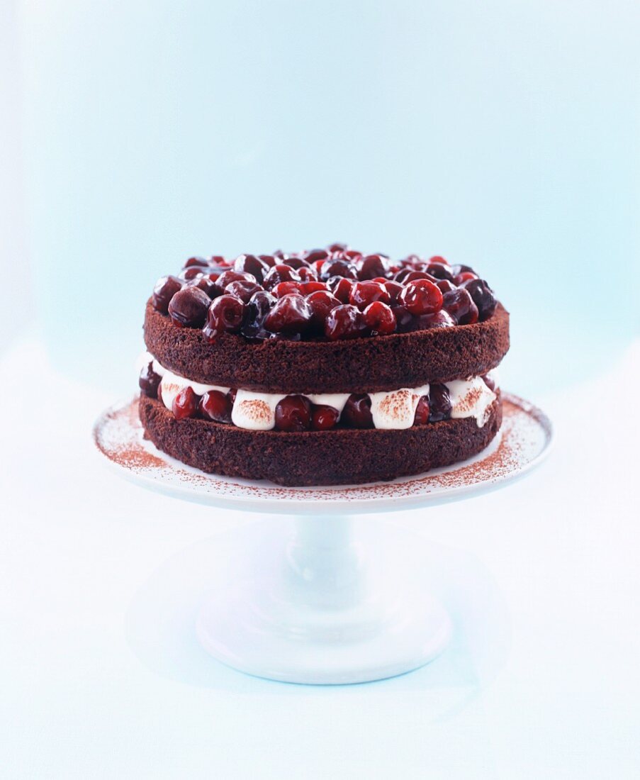 Chocolate and cherry cake with cream