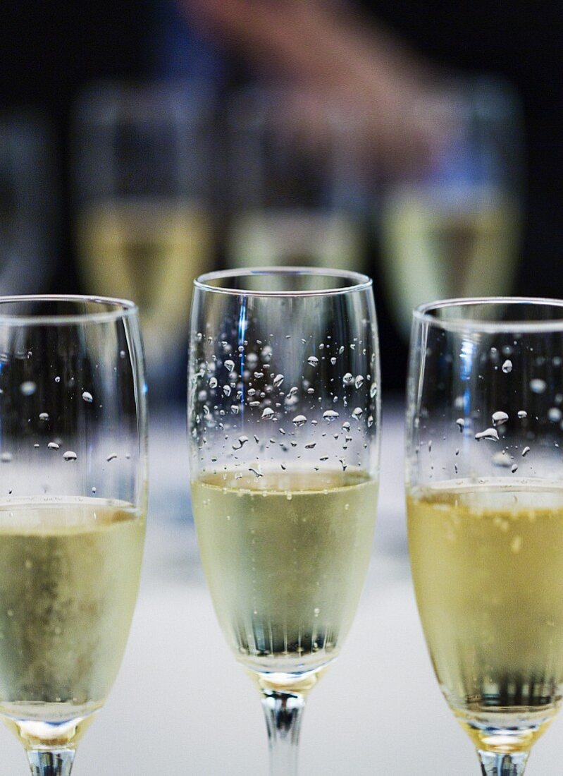 Several glasses of cava in wine cellar