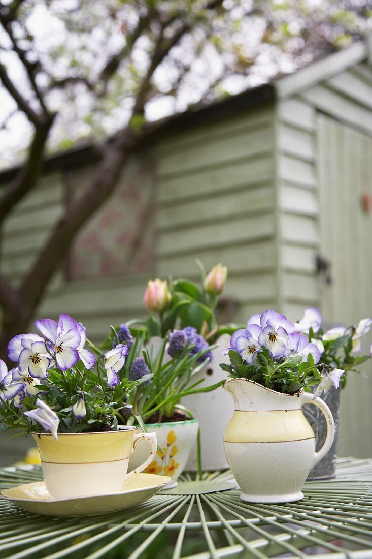 Spring flowers in pots on garden table