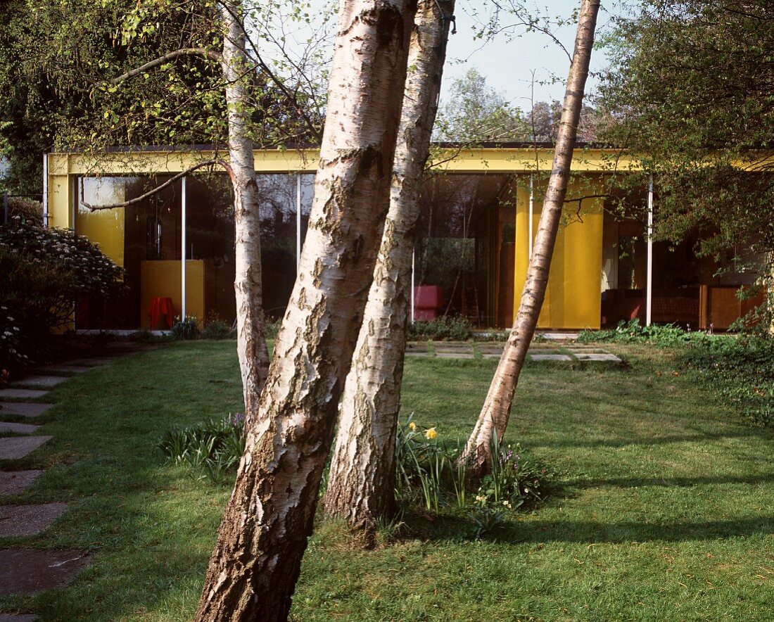 Group of trees in garden in front of bungalow