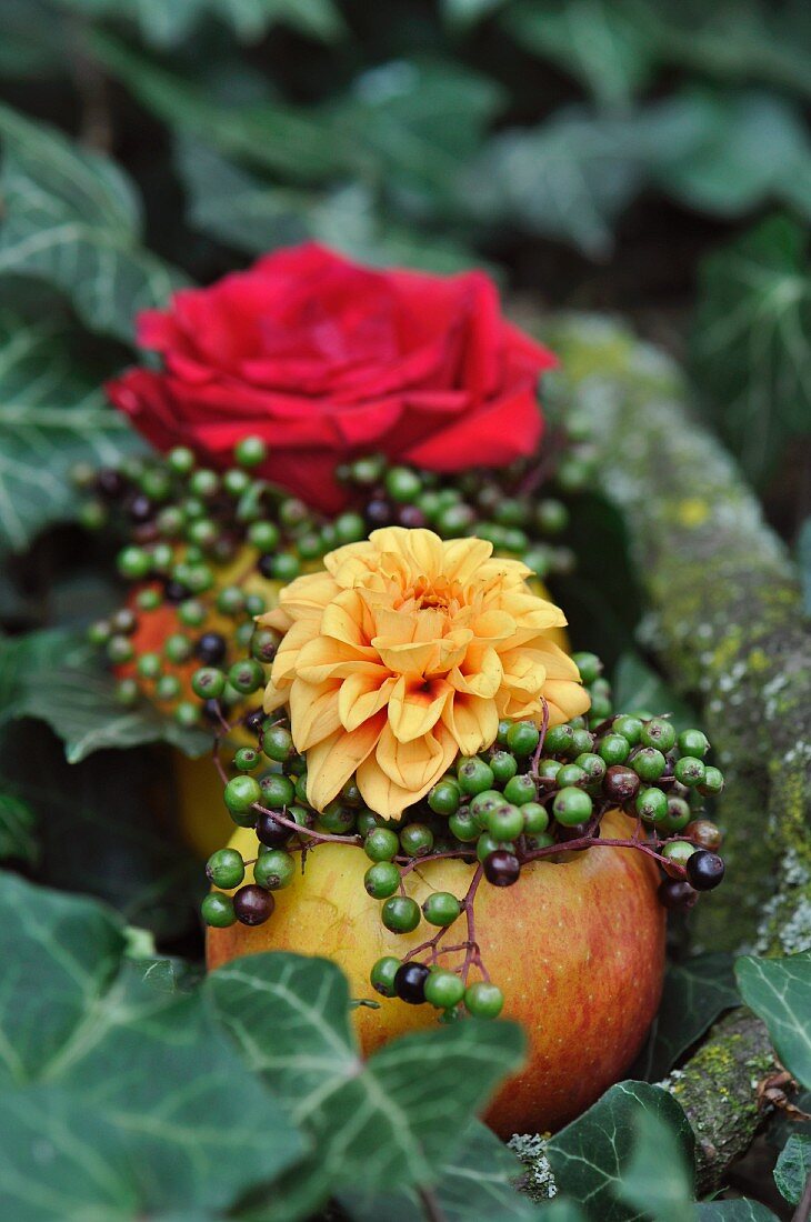 Autumnal arrangement with apples as vases decorated with flowers & berries