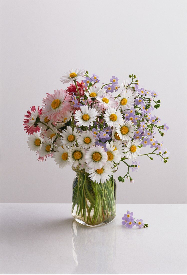 Wiesensträußchen mit Gänseblümchen & Vergissmeinnicht