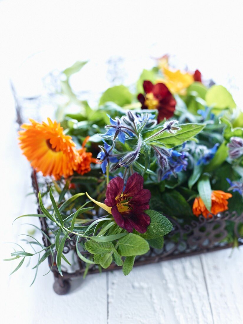 Flowering herbs