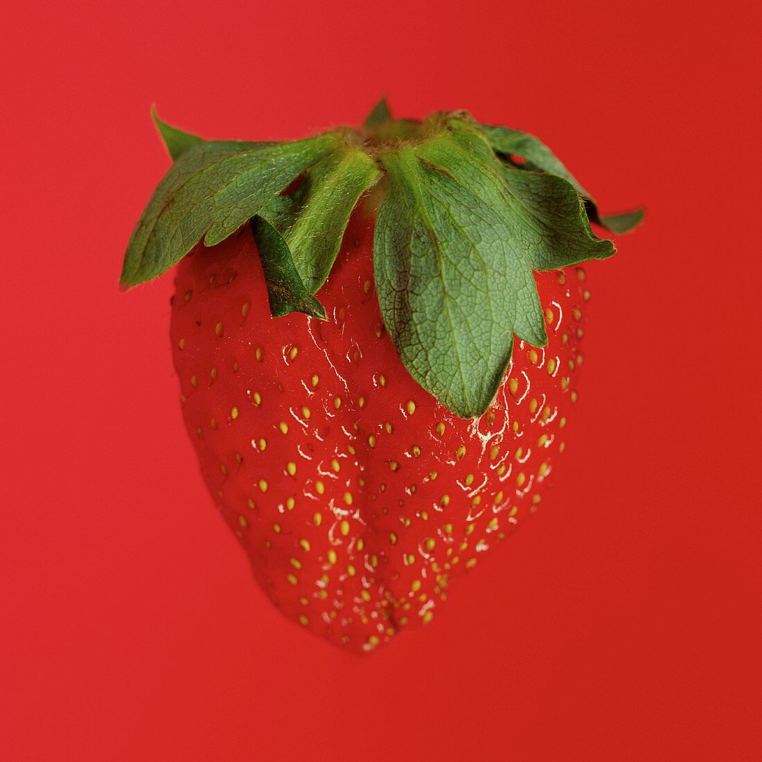 Eine Erdbeere vor rotem Hintergrund