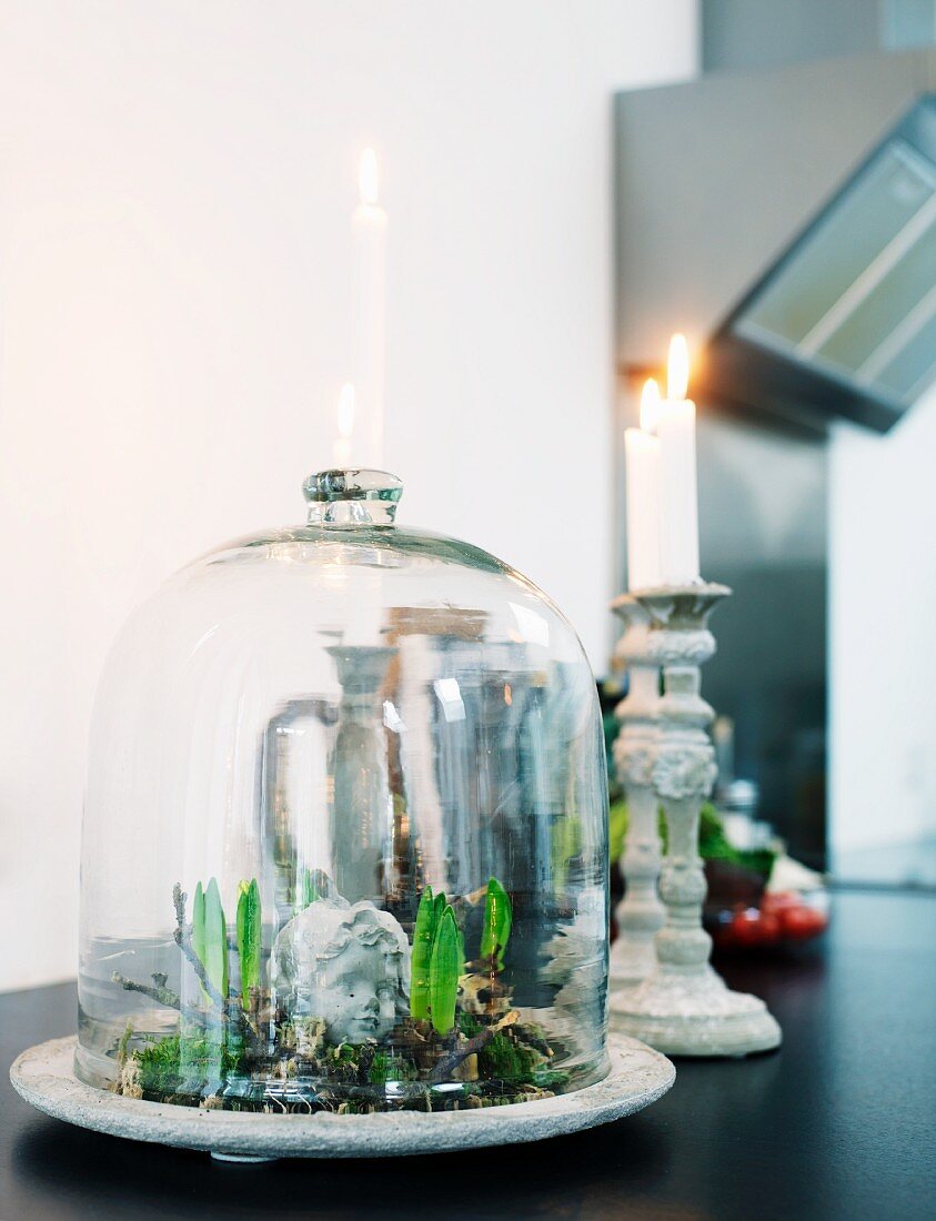 Miniature cold-frame under glass cloche