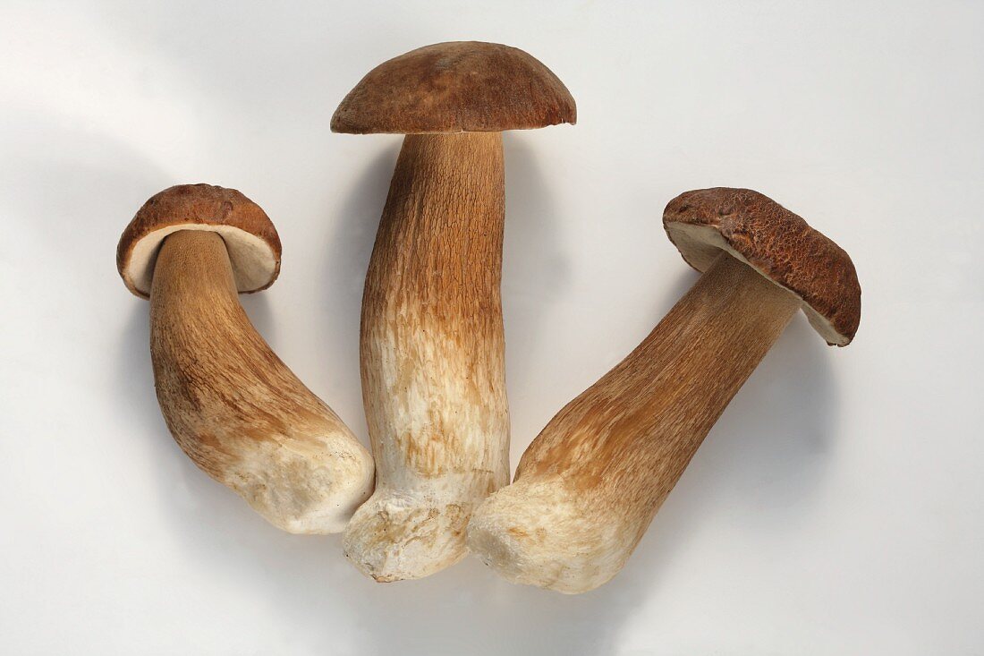 Three ceps