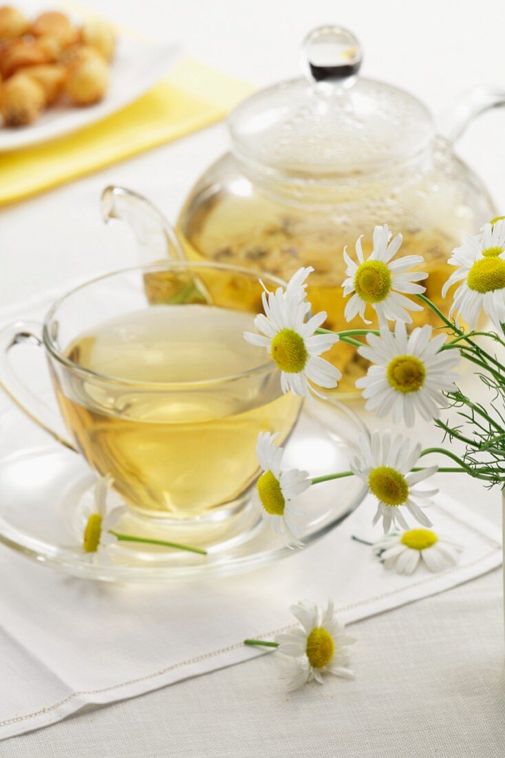 Teacup and teapot with chamomile tea and fresh chamomile flowers