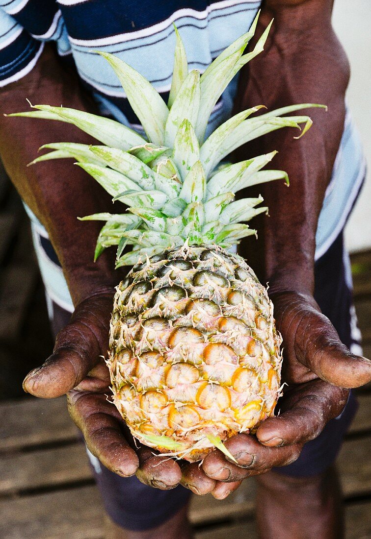 A dark-skinned man hold a fresh pineapple