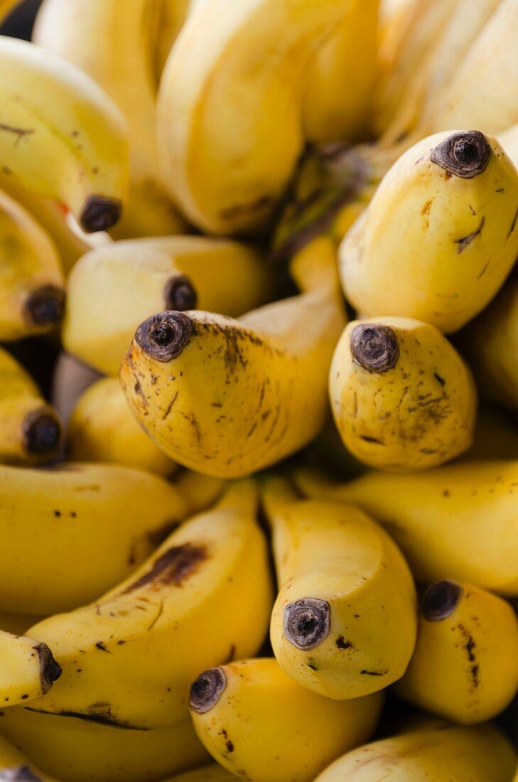 Reife Bananenstaude (Nahaufnahme)