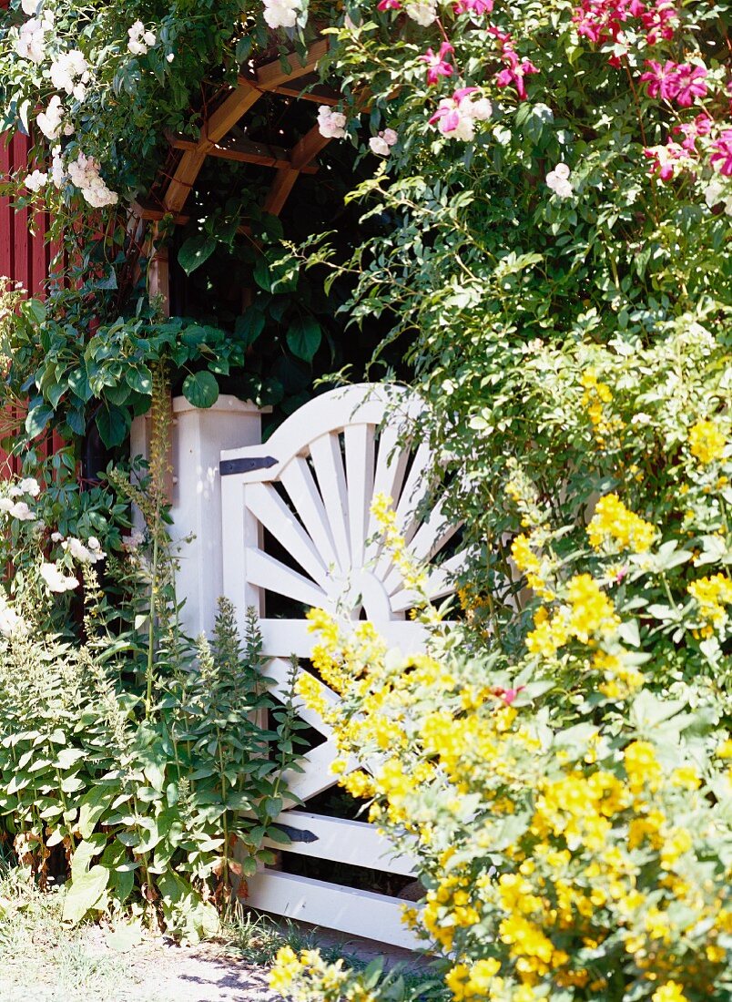 Garden gate with a rose covered arbor