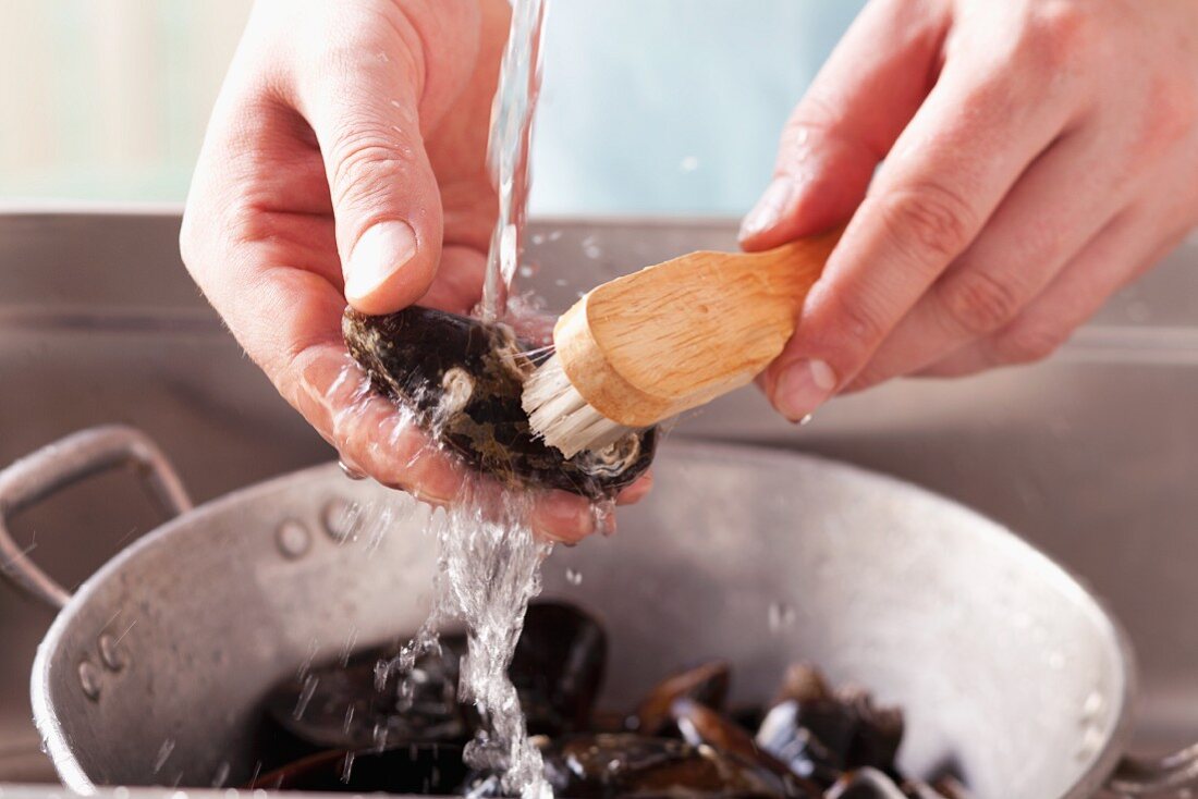 Brushing mussels under running water