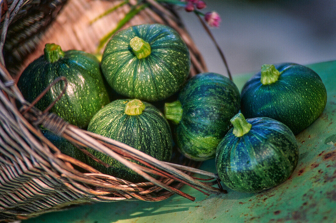 Runde Zucchini