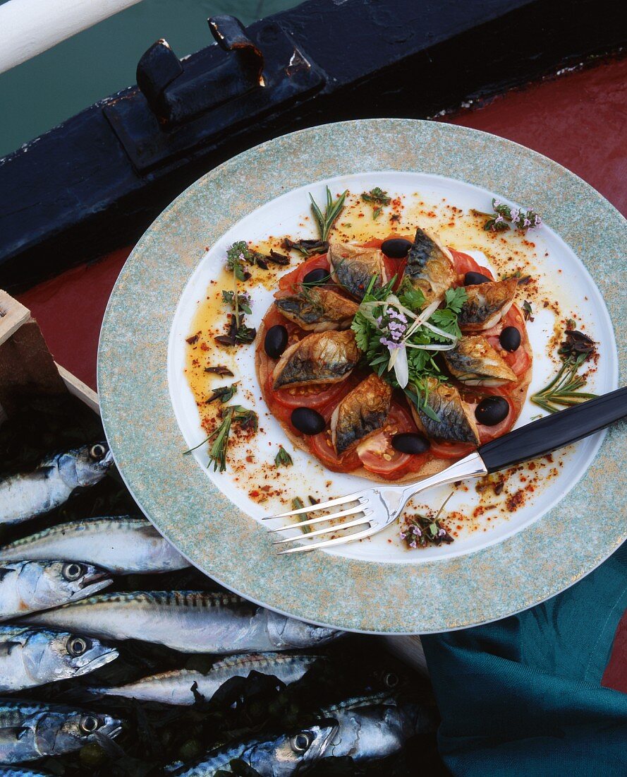 Baked mackerel on a bed of tomatoes, olives and herbs