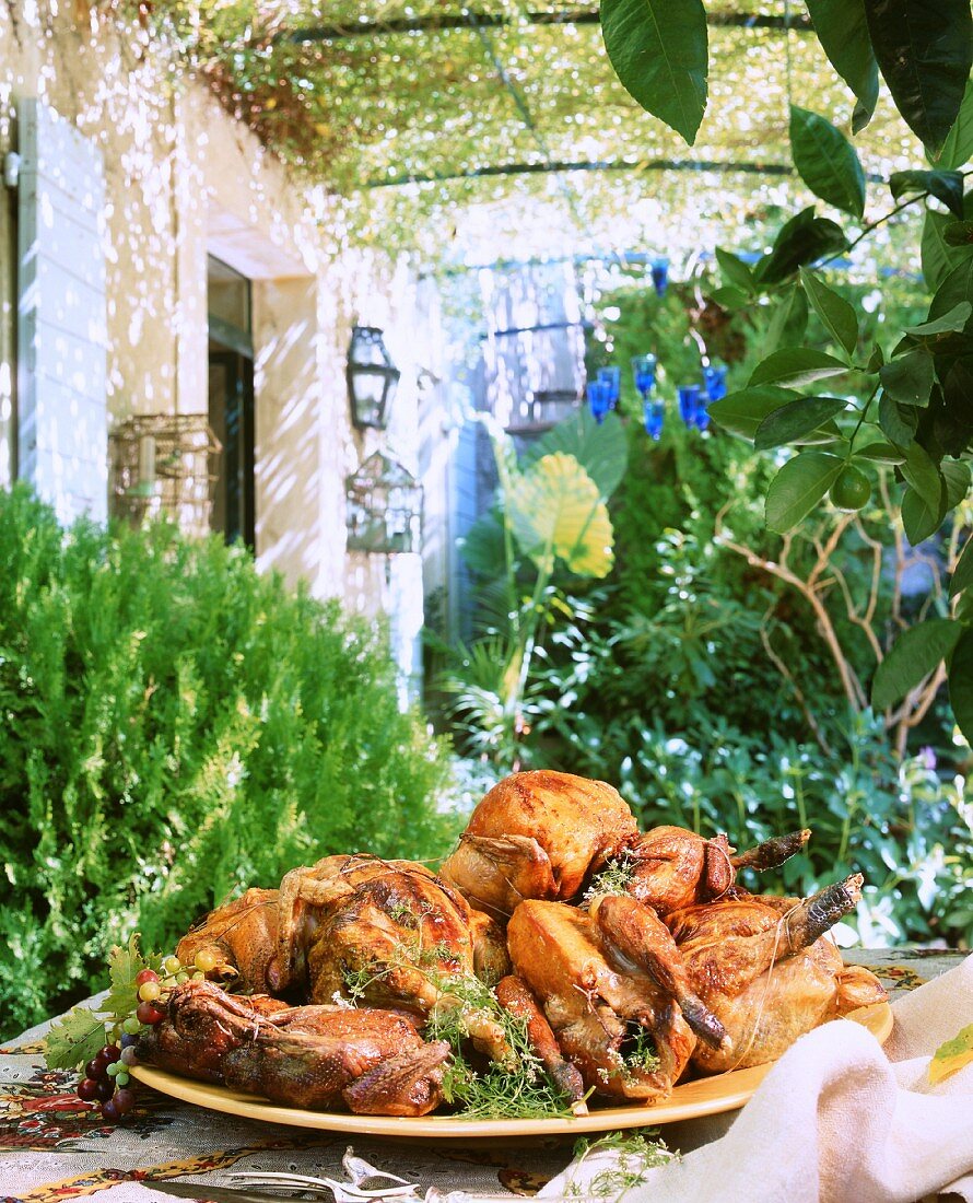 Herb chicken from Provence