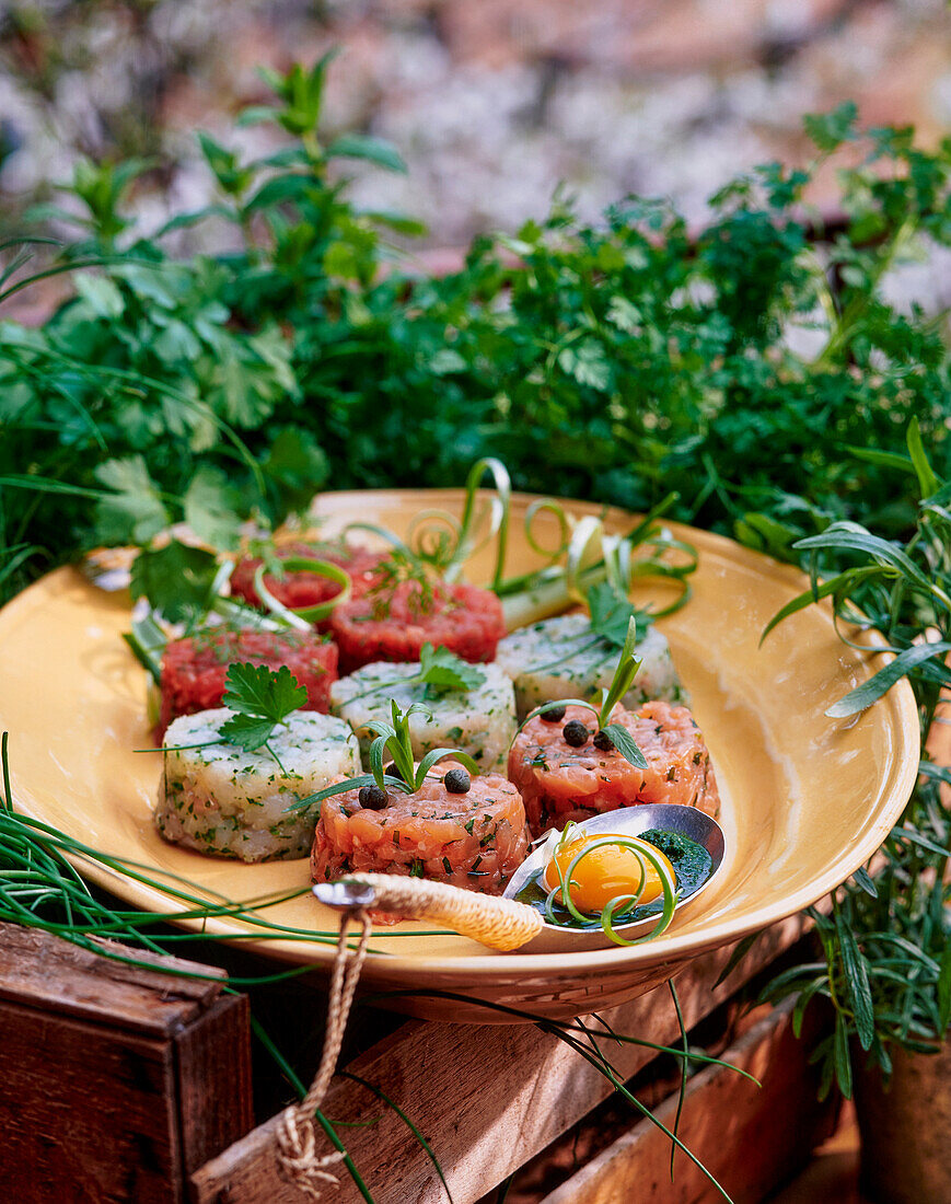 Fish tartae made of several varieties of fish with herbs and raw egg yolk on herb sauce