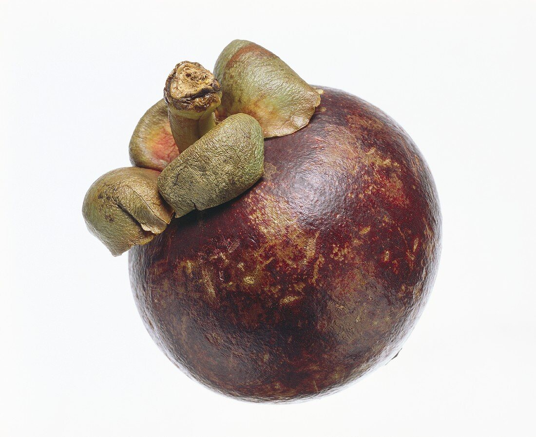 One Mangosteen